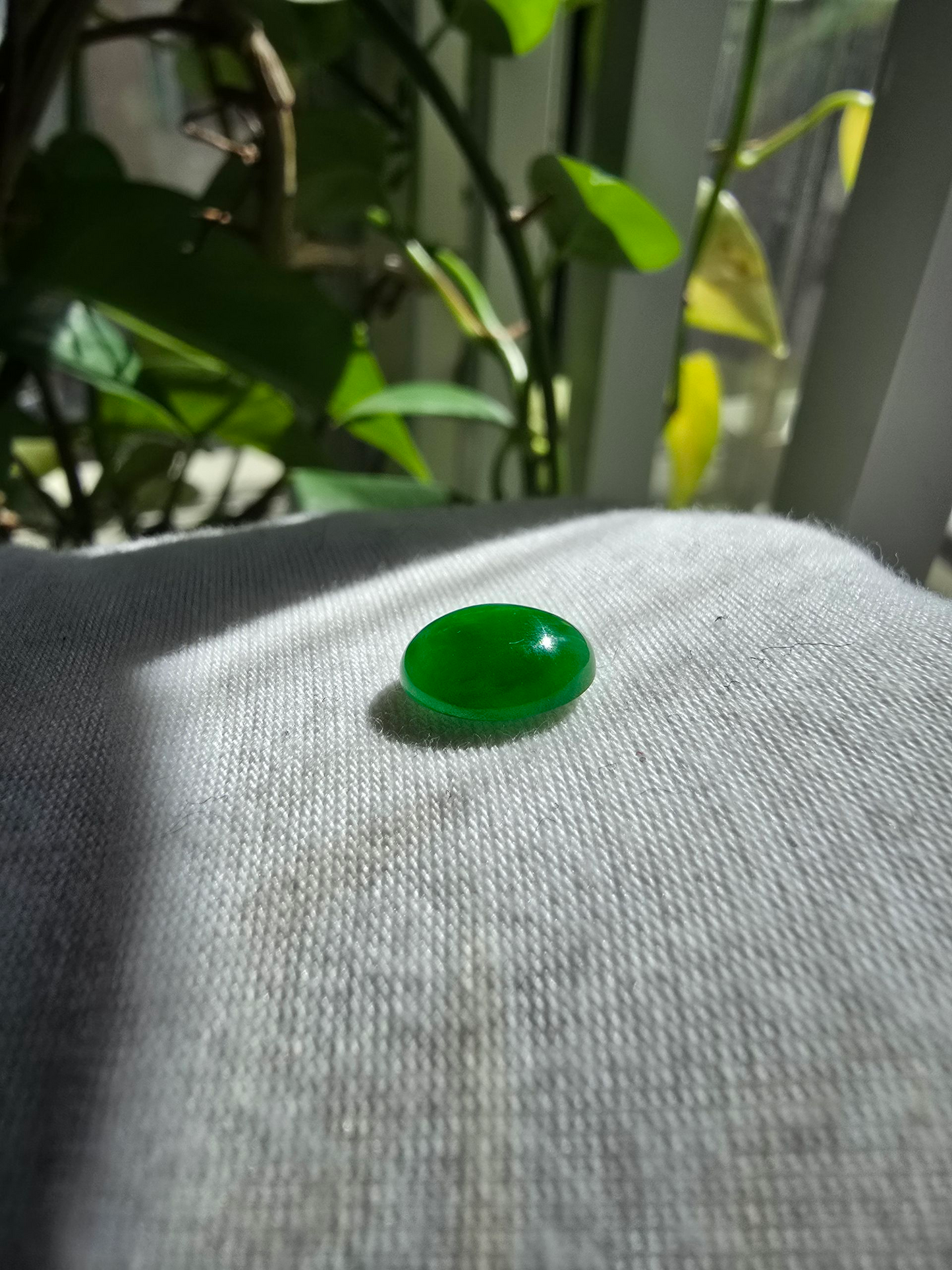Certified MADE IN JAPAN 3.22 cts. Bright Green Burmese A-Jadeite Oval Cabochon Loose Stone LS17
