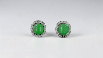Eternal Sunshine Apple Green Burmese A-Jade Stud Earrings with Diamond Halo and 18K White Gold - Certified - V2