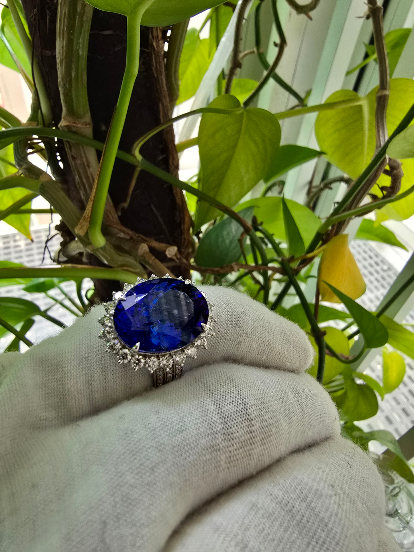 Avellino (13.50 cts.) Tanzanite and Natural Diamonds Ring (with 18K White Gold) -R3955