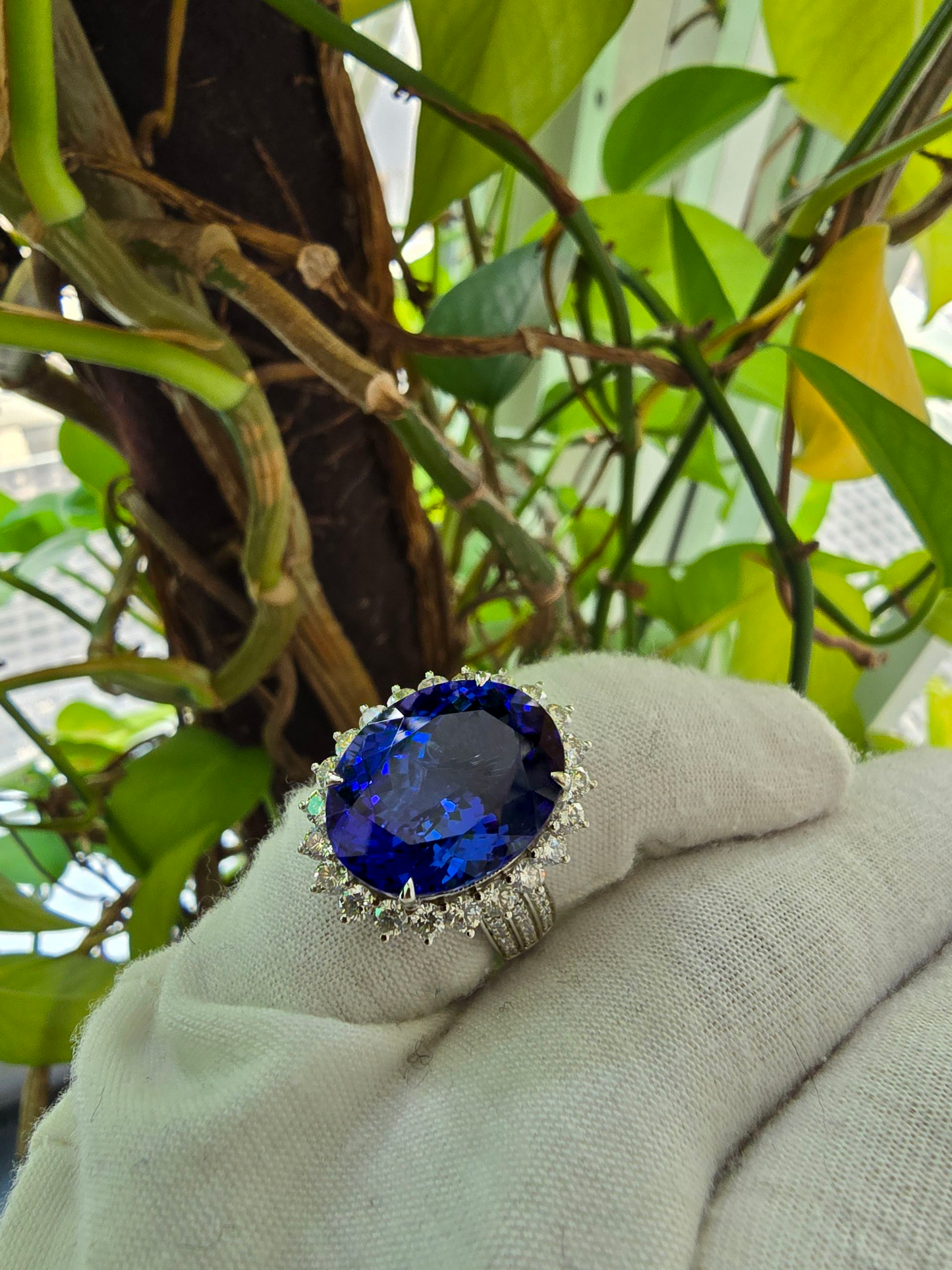 Avellino (13.50 cts.) Tanzanite and Natural Diamonds Ring (with 18K White Gold) -R3955