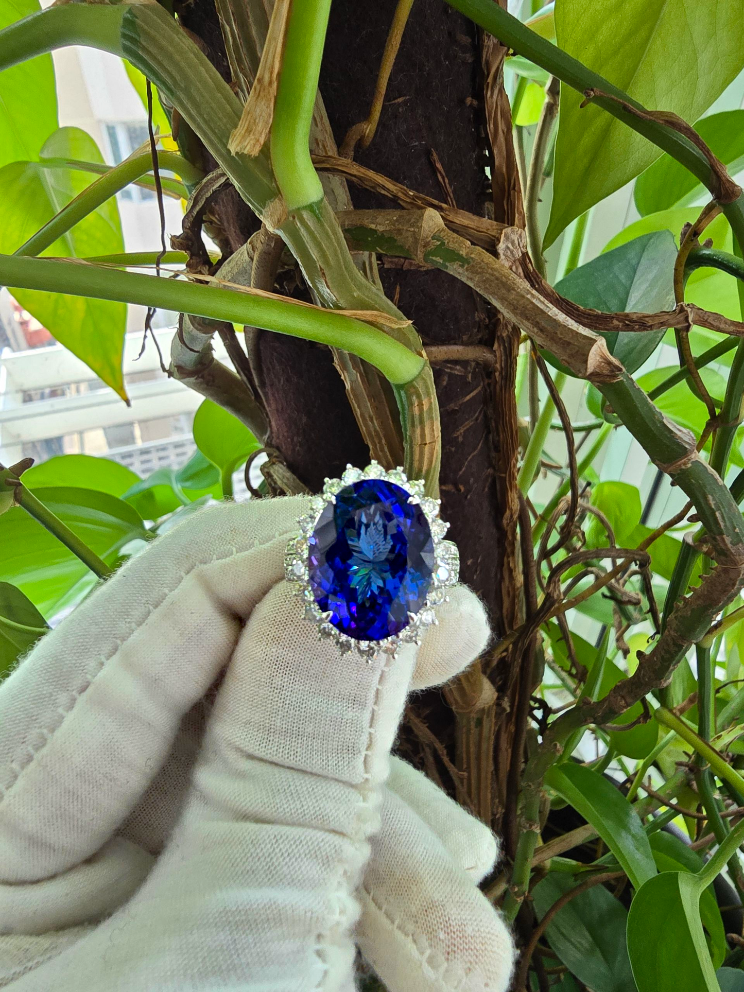 Avellino (13.50 cts.) Tanzanite and Natural Diamonds Ring (with 18K White Gold) -R3955