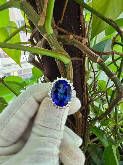 Avellino (13.50 cts.) Tanzanite and Natural Diamonds Ring (with 18K White Gold) -R3955
