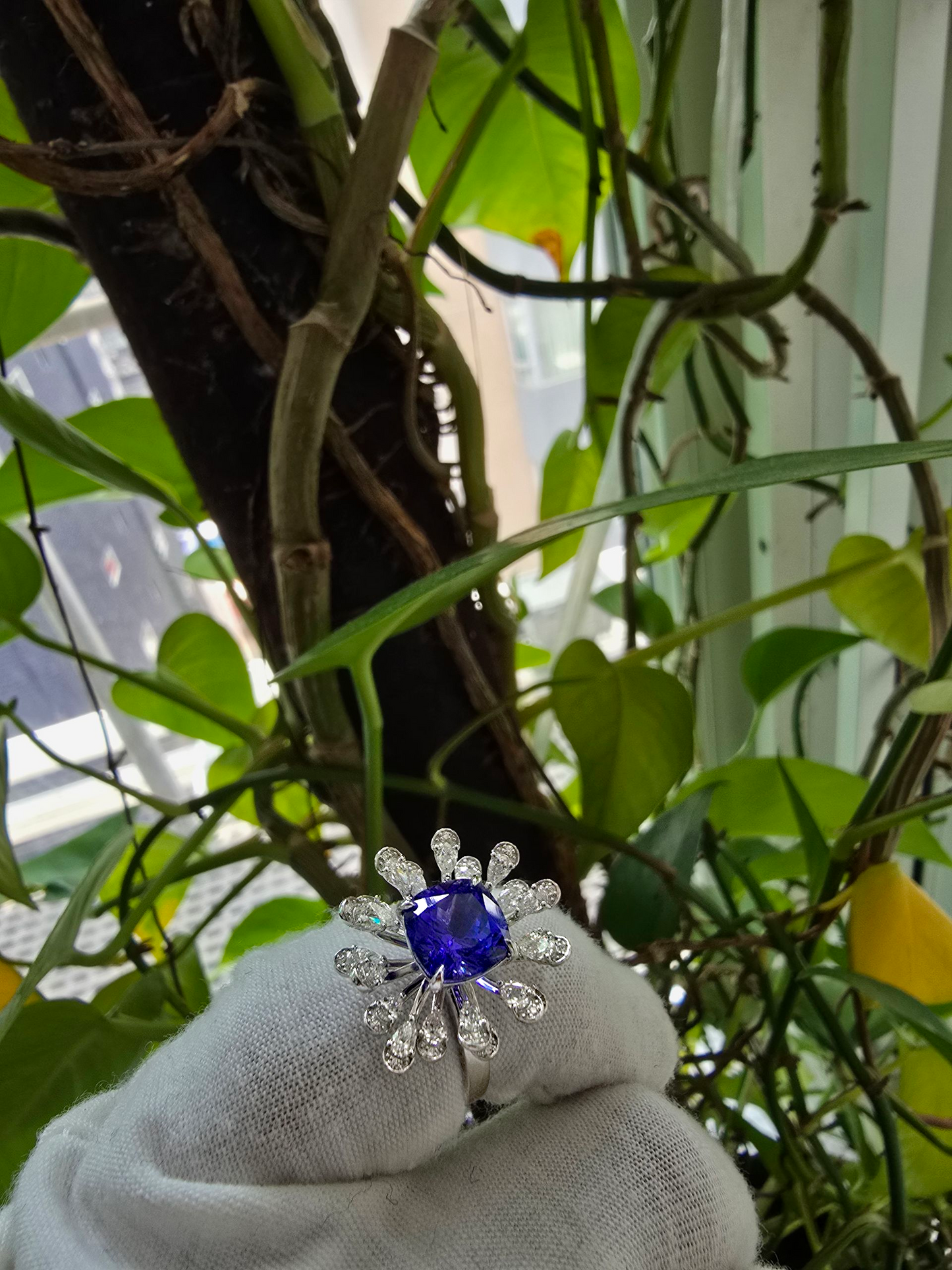 Teramo (2.96 cts.) Tanzanite and Natural Diamonds Ring (with 18K White Gold - R4039A