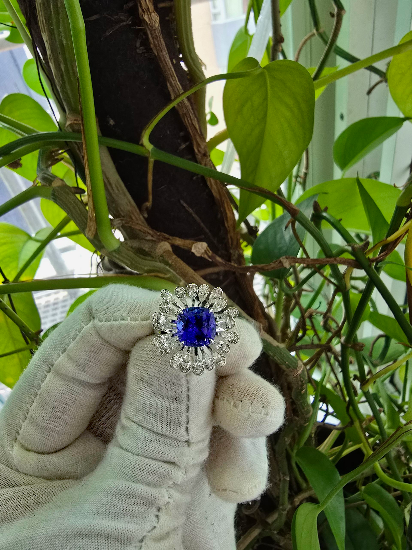Teramo (2.96 cts.) Tanzanite and Natural Diamonds Ring (with 18K White Gold - R4039A
