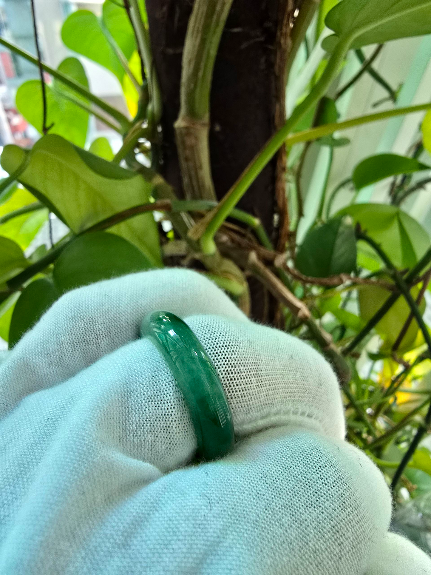 Masters Burmese A-Jadeite Infinity Band Ring Size US 9.5 09021 - Certified