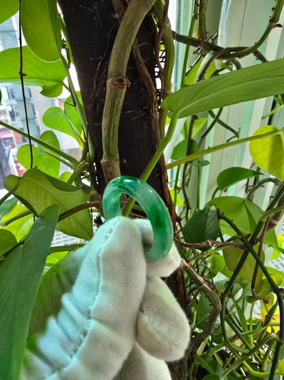 Masters Burmese A-Jadeite Infinity Band Ring Size US 9.5 09021 - Certified