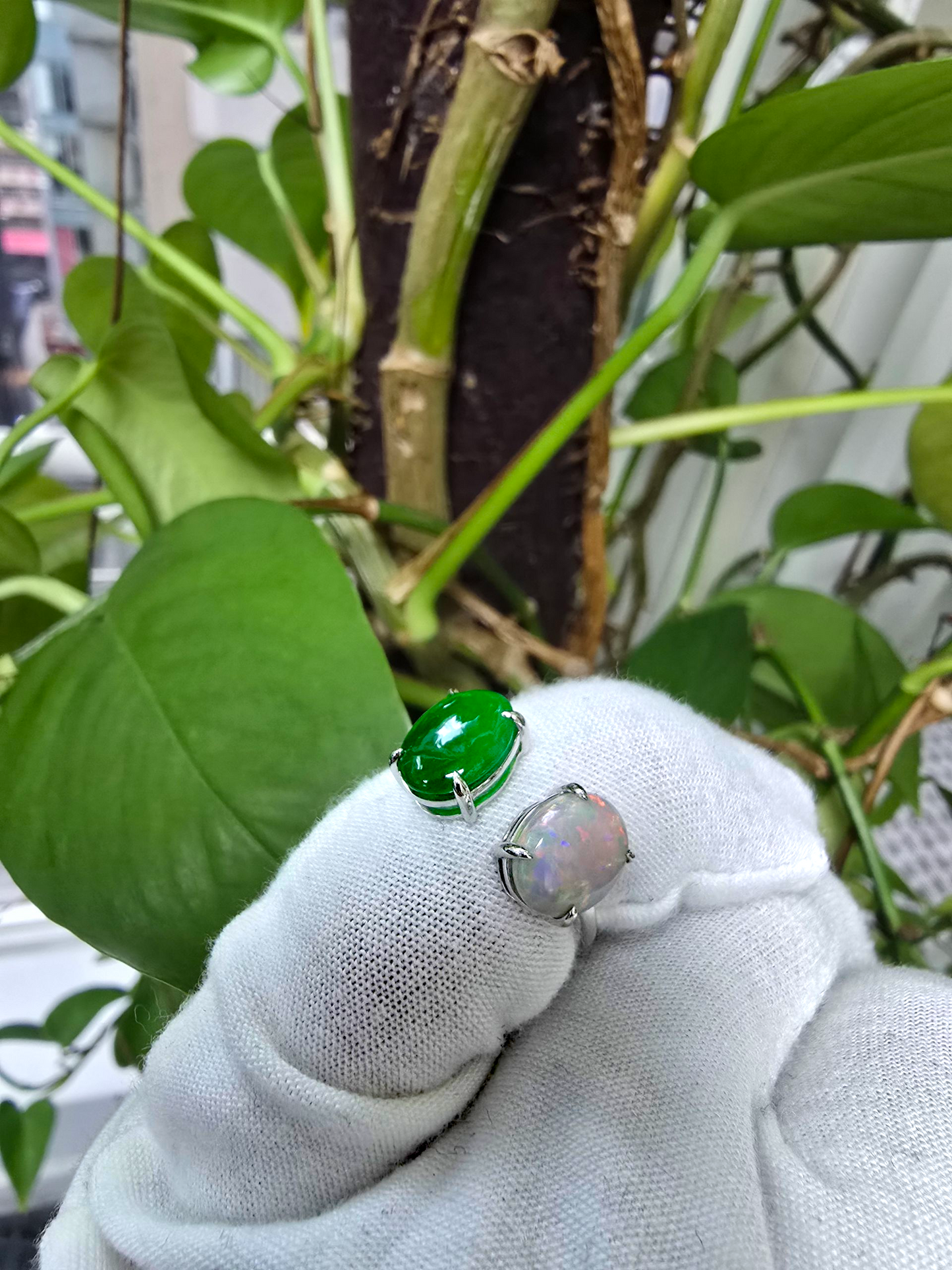 Opade Opulence Burmese A-Jadeite and Australian Opal Toi et Moi Ring Size US 6.5 with 18K White Gold - Certified V1