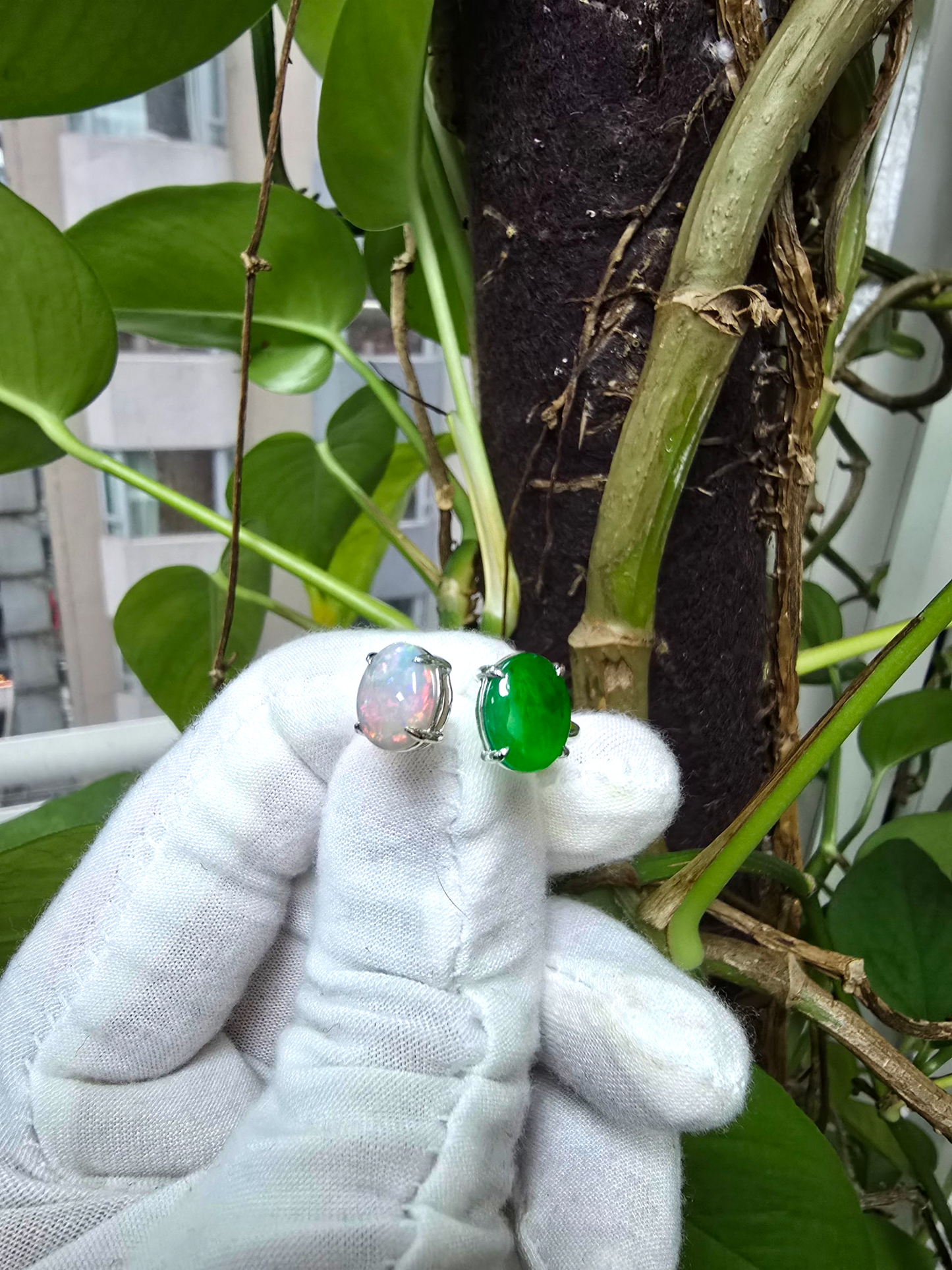 Opade Opulence Burmese A-Jadeite and Australian Opal Toi et Moi Ring Size US 6.5 with 18K White Gold - Certified V1