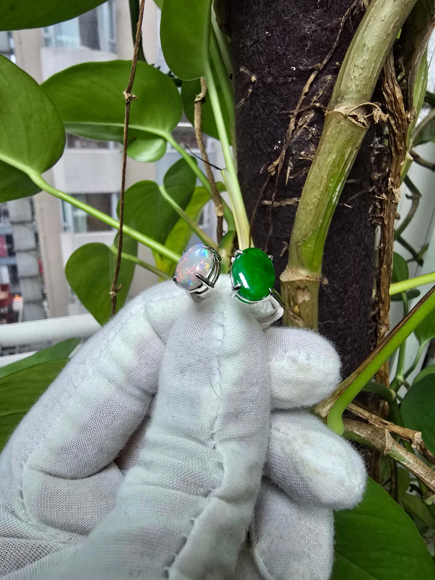 Opade Opulence Burmese A-Jadeite and Australian Opal Toi et Moi Ring Size US 6.5 with 18K White Gold - Certified V1