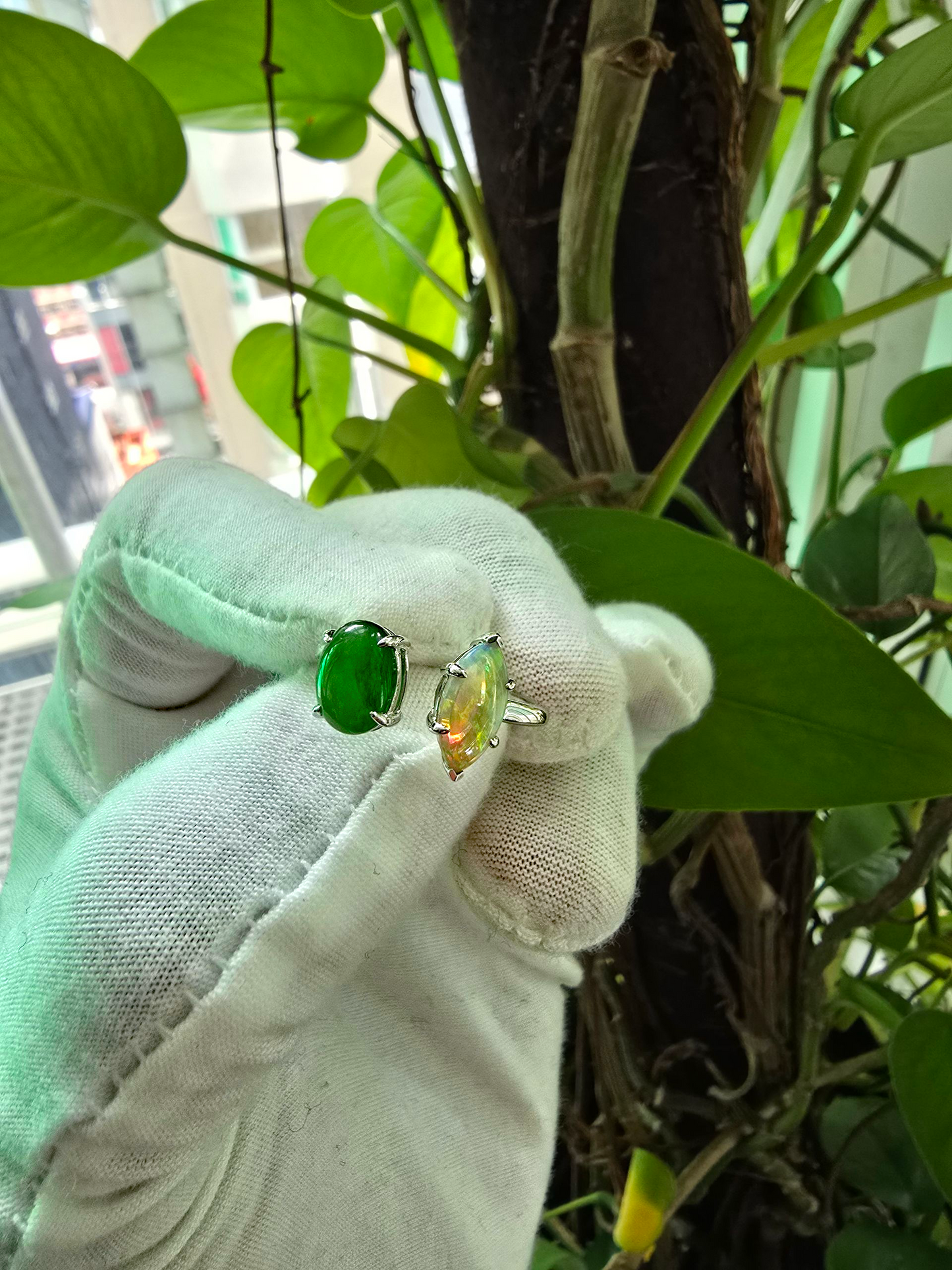 Opade Elegance Burmese A-Jadeite and Australian Opal Toi et Moi Ring Size US 8 with 14K White Gold - Certified V2