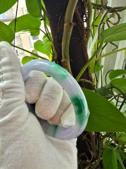 Earth's (MADE IN JAPAN) Burmese Green and Lavender A-Jade Round Bangle Bracelet - Certified 08831