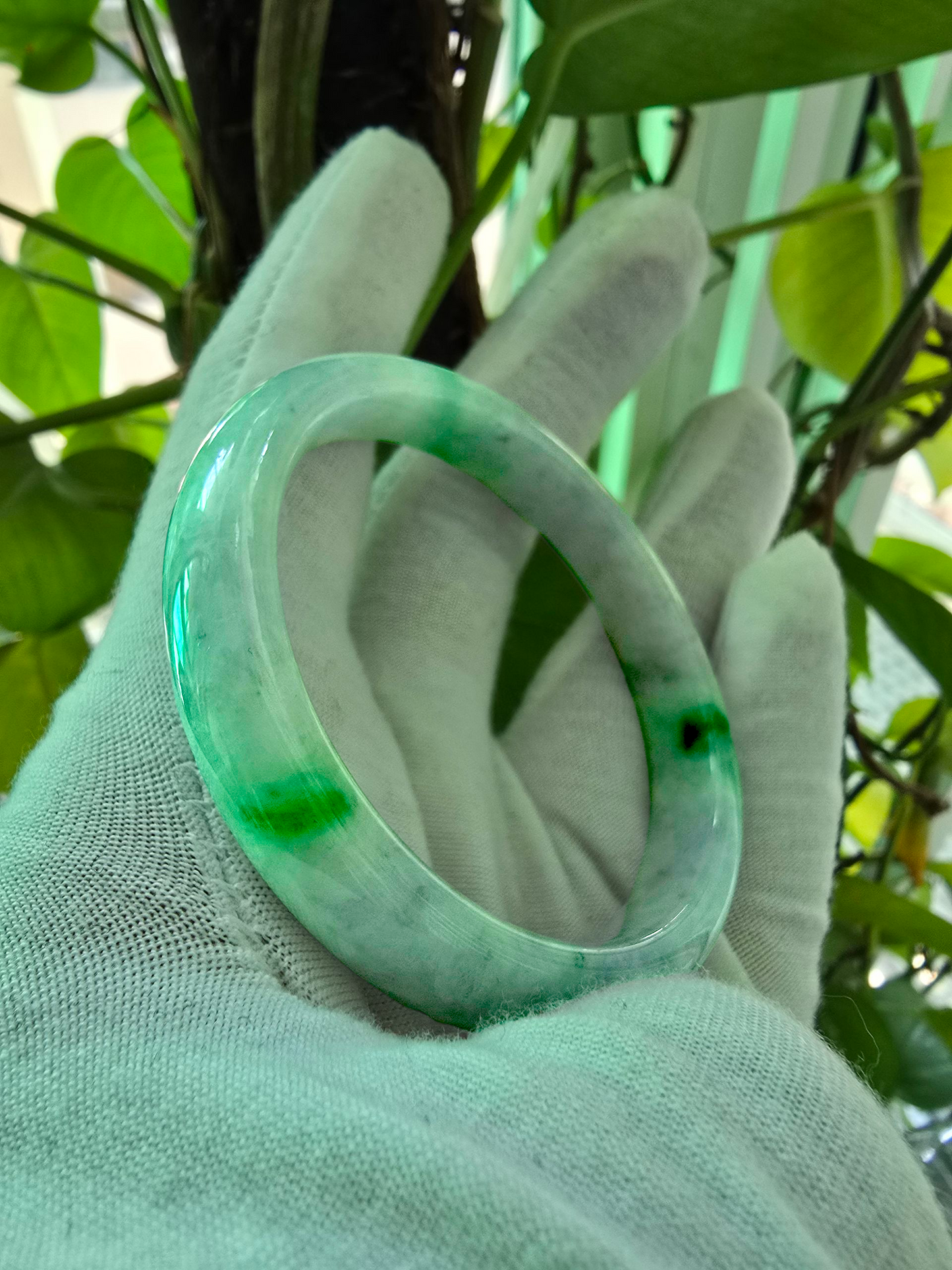 Earth's (MADE IN JAPAN) Burmese Green and Lavender A-Jade Round Bangle Bracelet - Certified 08832