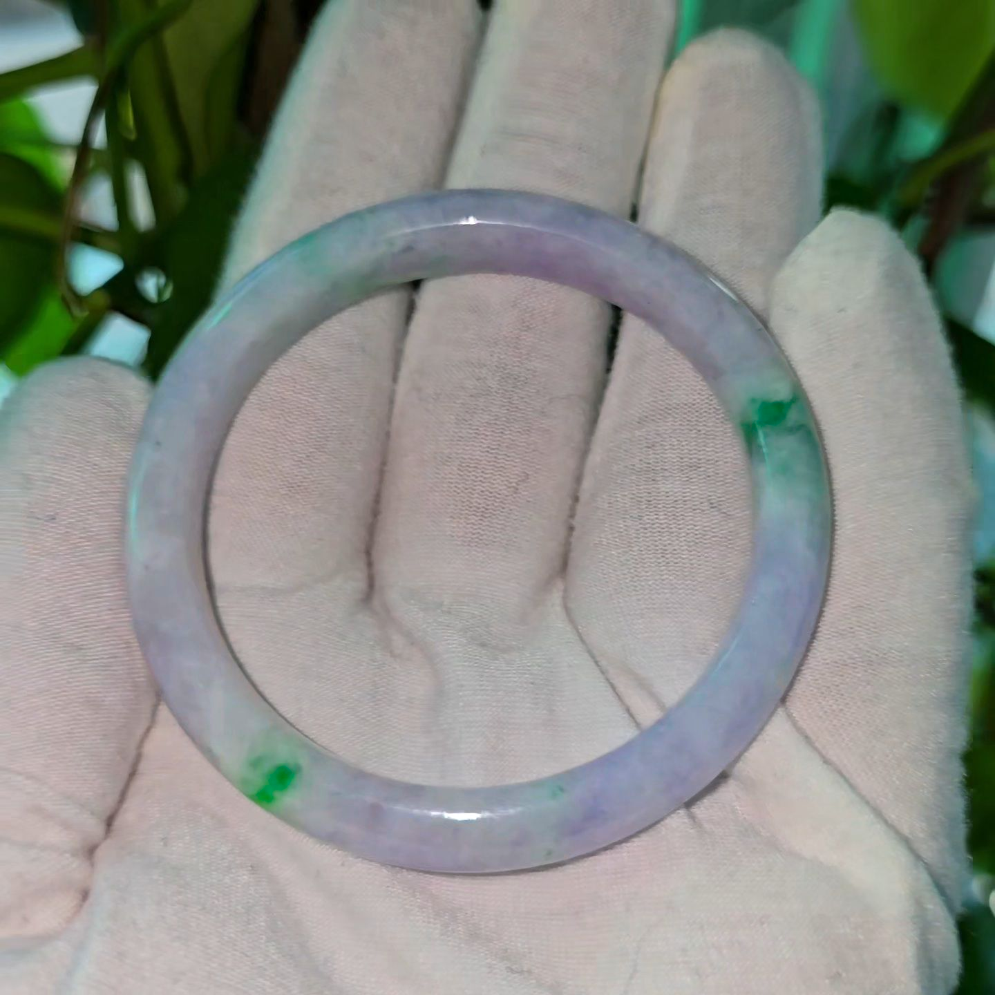 Earth's (MADE IN JAPAN) Burmese Green and Lavender A-Jade Round Bangle Bracelet - Certified 08832