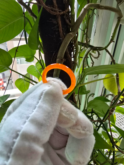 Masters Burmese Orange-Red A-Jadeite Infinity Band Ring Size US 6.5 09023 - Certified