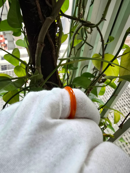 Masters Burmese Orange-Red A-Jadeite Infinity Band Ring Size US 6.5 09023 - Certified