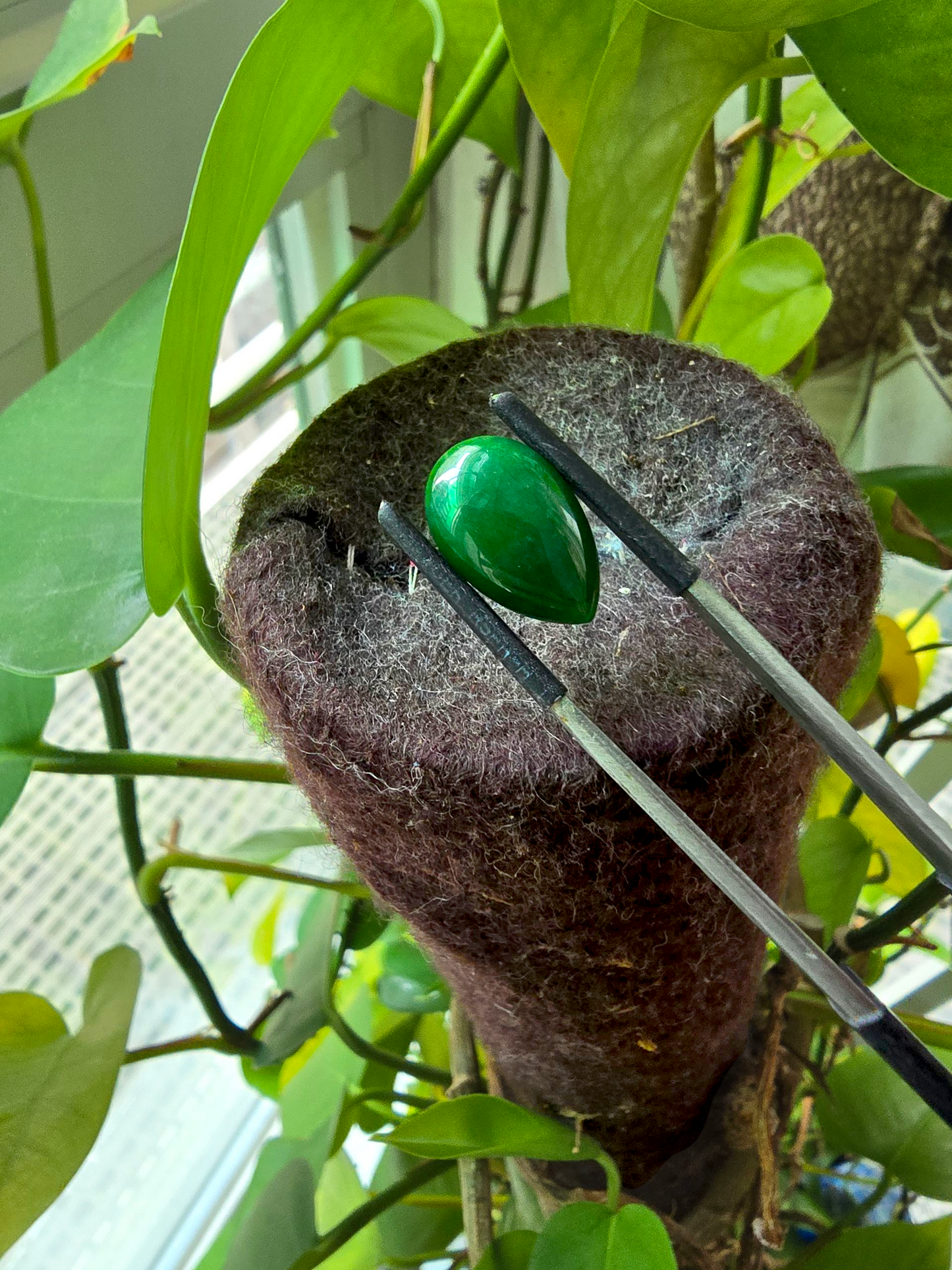 Certified MADE IN JAPAN 6.42 cts. Deep Green Burmese A-Jadeite Pear Shaped Cabochon Loose Stone LS16