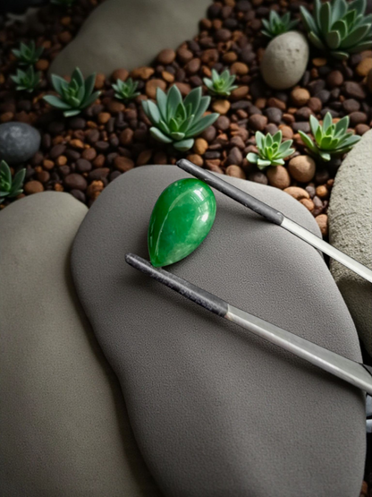 Certified MADE IN JAPAN 6.42 cts. Deep Green Burmese A-Jadeite Pear Shaped Cabochon Loose Stone LS16