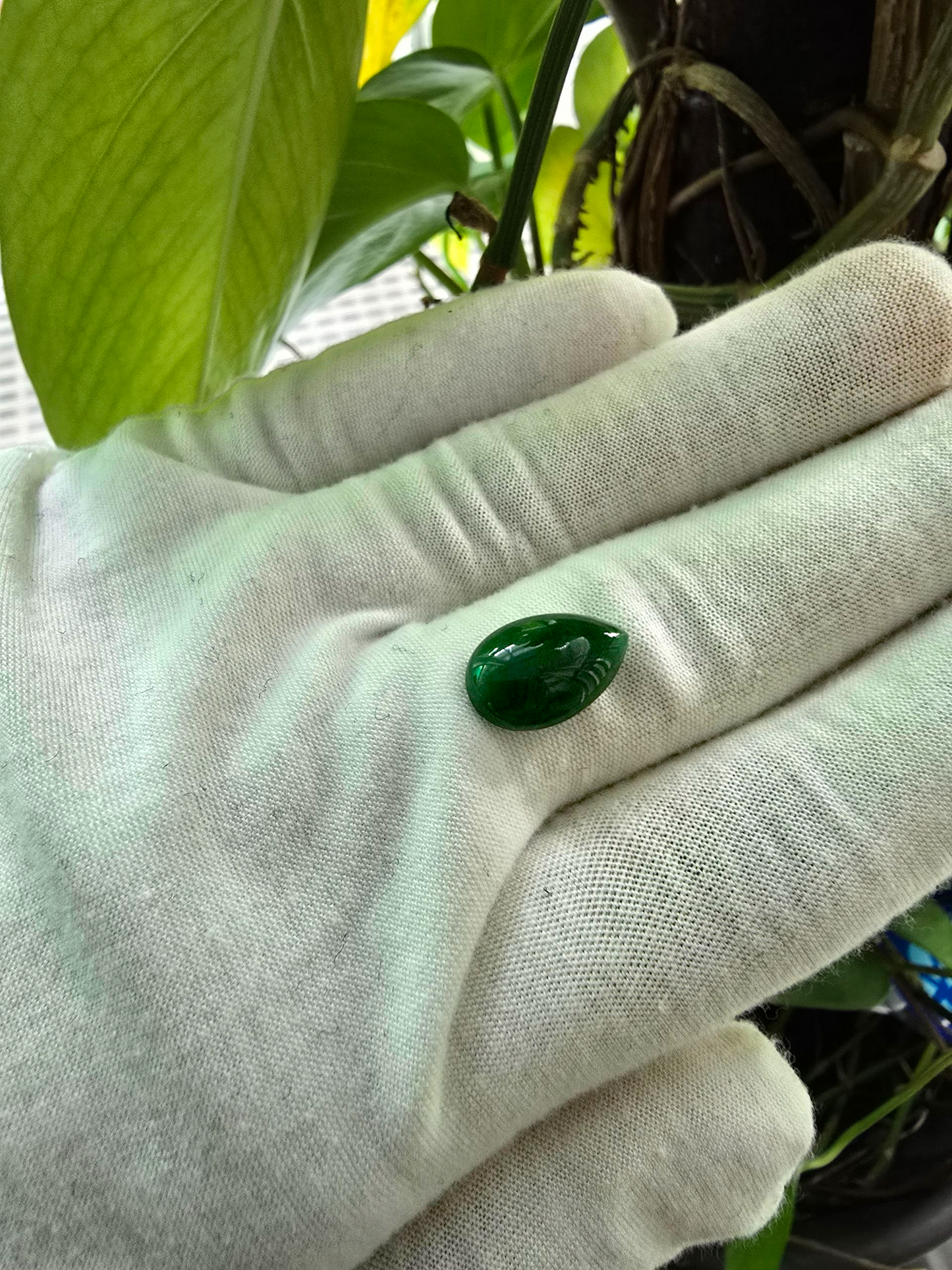 Certified MADE IN JAPAN 6.42 cts. Deep Green Burmese A-Jadeite Pear Shaped Cabochon Loose Stone LS16