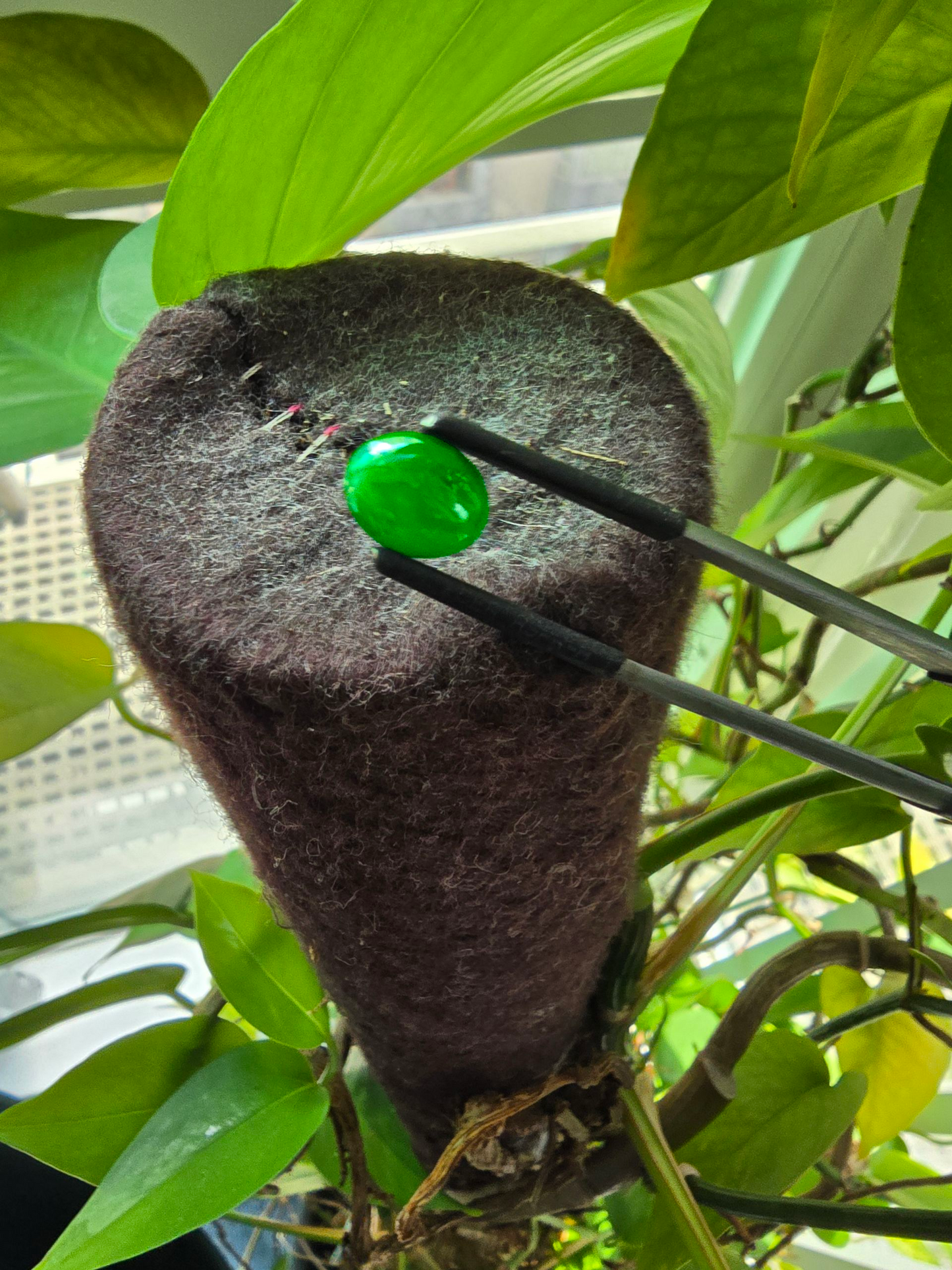 Certified MADE IN JAPAN 3.22 cts. Bright Green Burmese A-Jadeite Oval Cabochon Loose Stone LS17