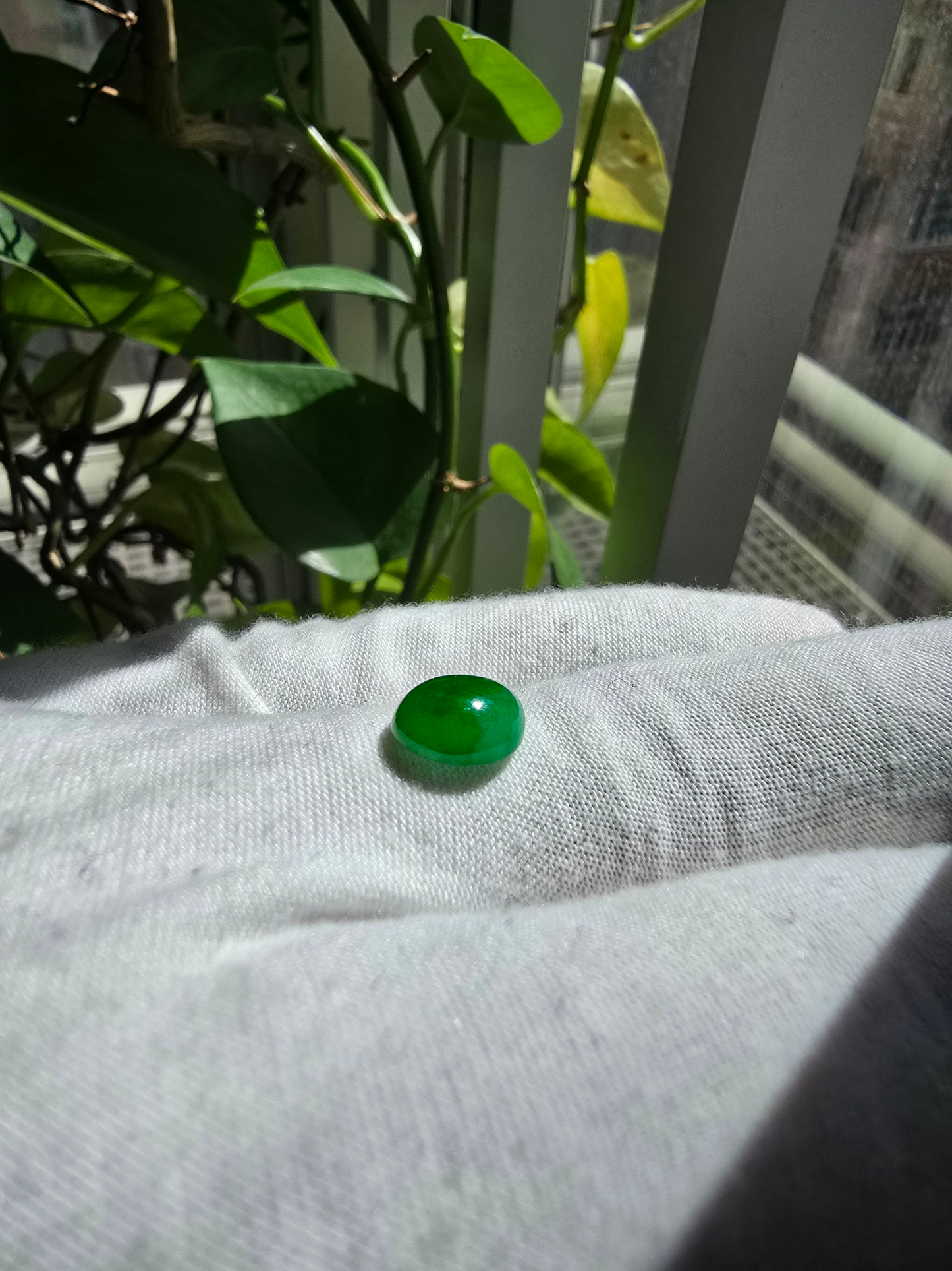 Certified MADE IN JAPAN 3.22 cts. Bright Green Burmese A-Jadeite Oval Cabochon Loose Stone LS17