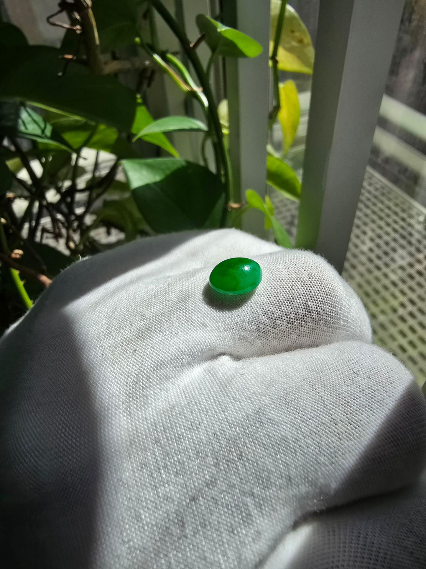 Certified MADE IN JAPAN 3.22 cts. Bright Green Burmese A-Jadeite Oval Cabochon Loose Stone LS17