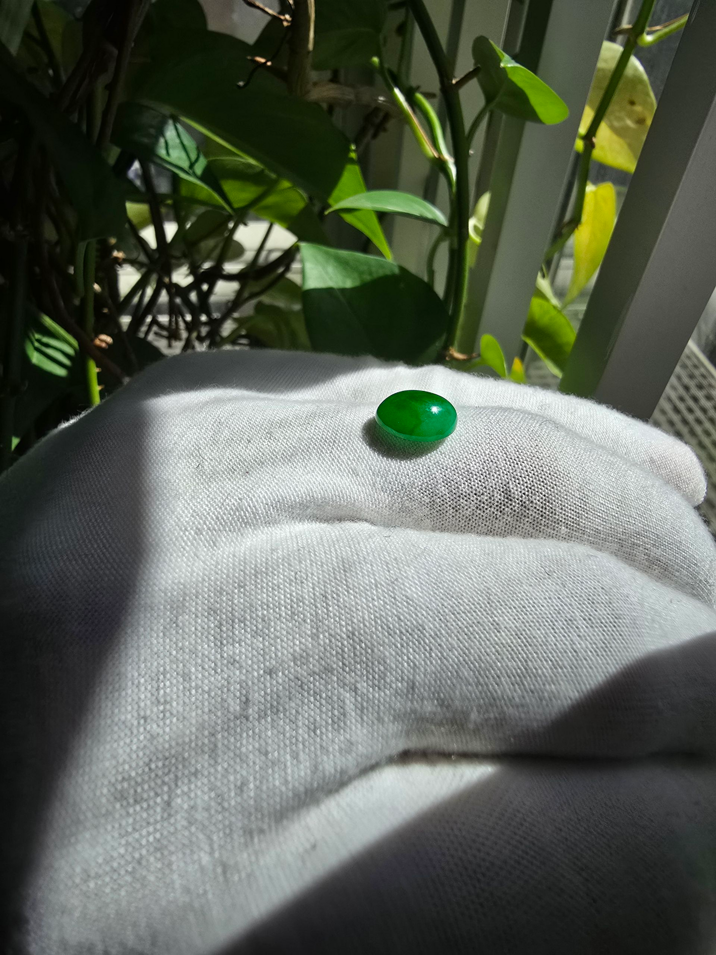 Certified MADE IN JAPAN 3.22 cts. Bright Green Burmese A-Jadeite Oval Cabochon Loose Stone LS17