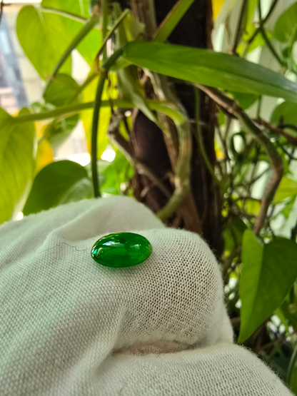 Certified MADE IN JAPAN 3.09 cts. Bright Green Burmese A-Jadeite Oval Cabochon Loose Stone LS18
