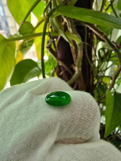 Certified MADE IN JAPAN 3.09 cts. Bright Green Burmese A-Jadeite Oval Cabochon Loose Stone LS18