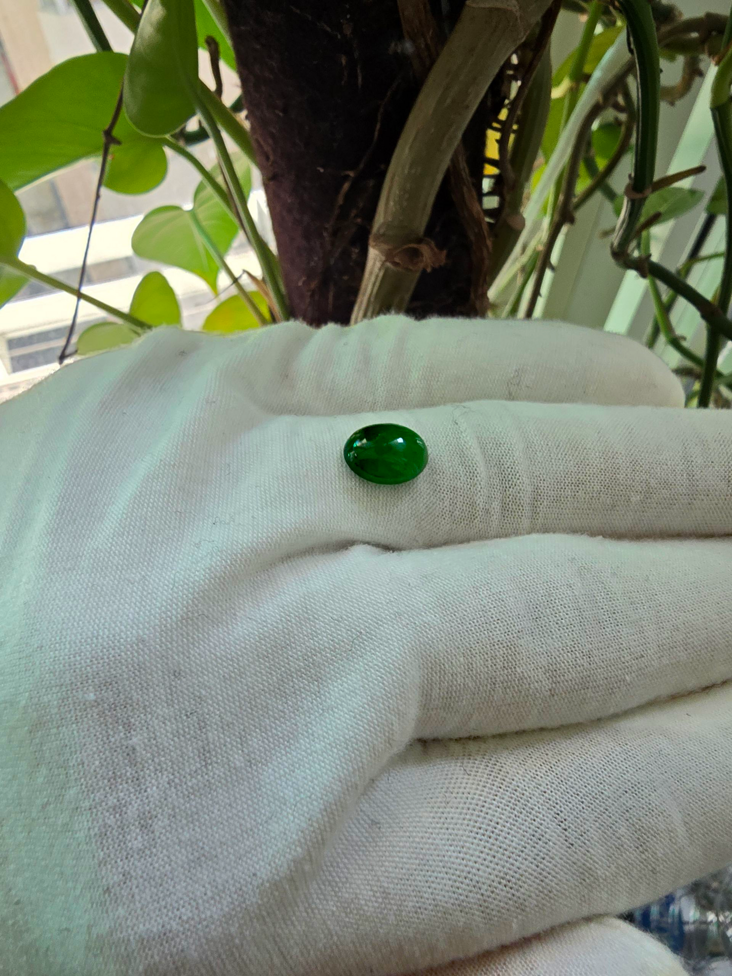 Certified MADE IN JAPAN 3.09 cts. Bright Green Burmese A-Jadeite Oval Cabochon Loose Stone LS18