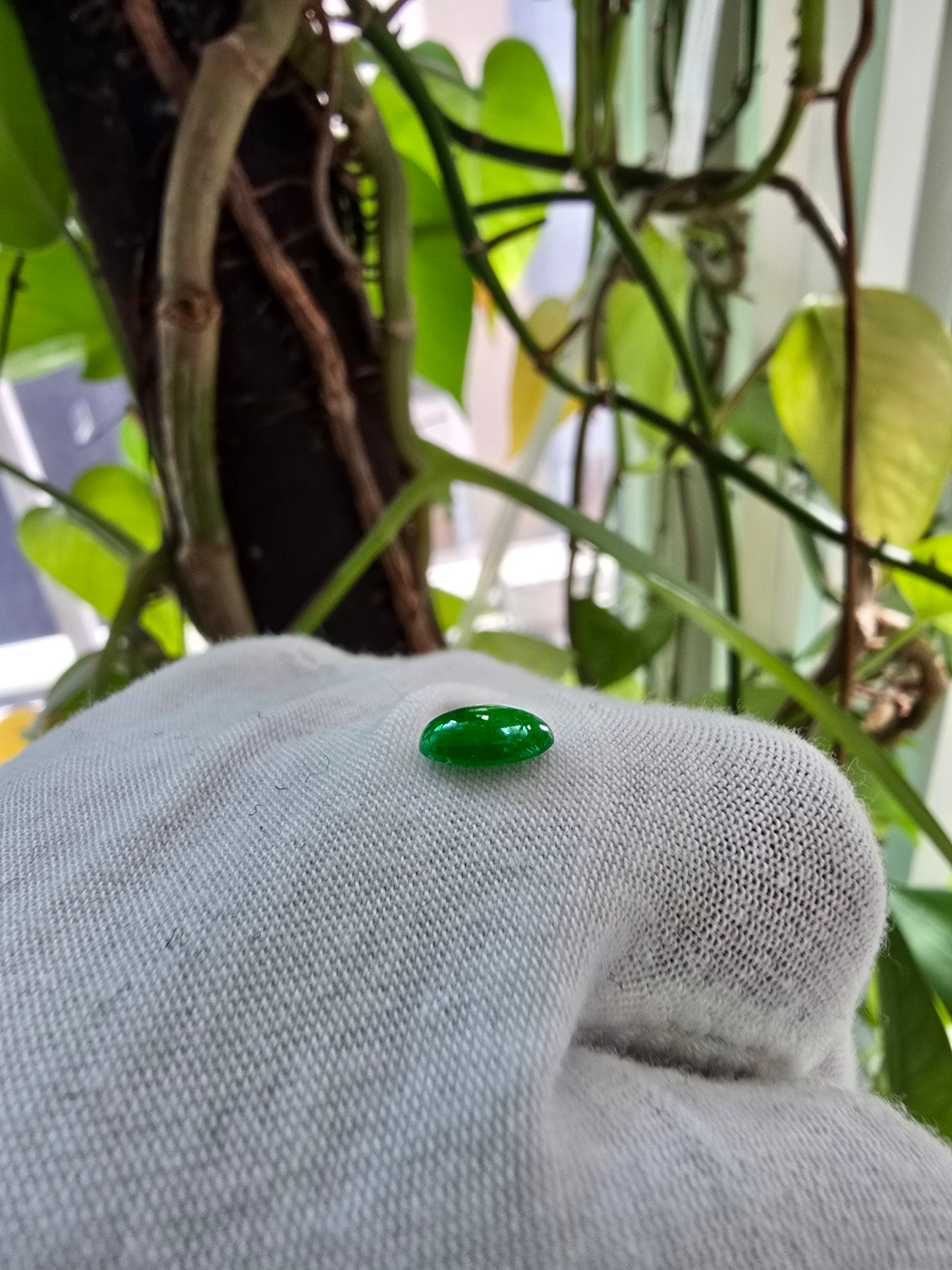 Certified MADE IN JAPAN 1.08 cts. Bright Green Burmese A-Jadeite Oval Cabochon Loose Stone LS19