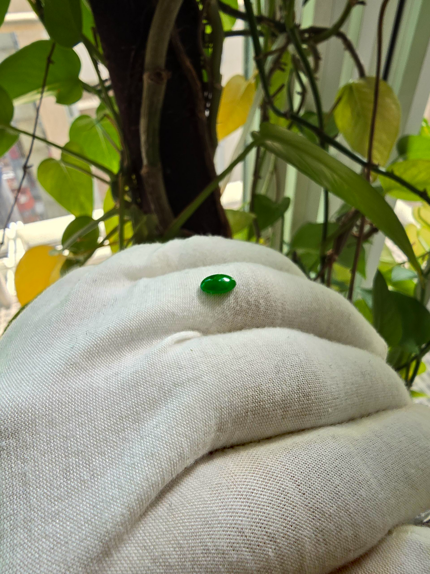 Certified MADE IN JAPAN 1.08 cts. Bright Green Burmese A-Jadeite Oval Cabochon Loose Stone LS19