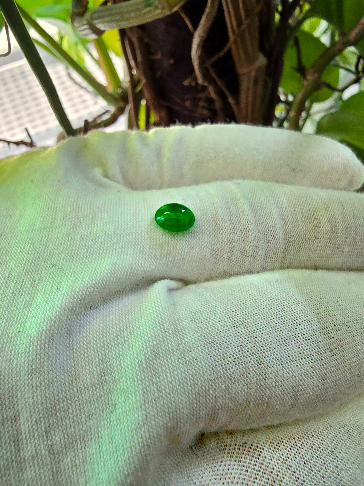 Certified MADE IN JAPAN 1.16 cts. Bright Green Burmese A-Jadeite Oval Cabochon Loose Stone LS21