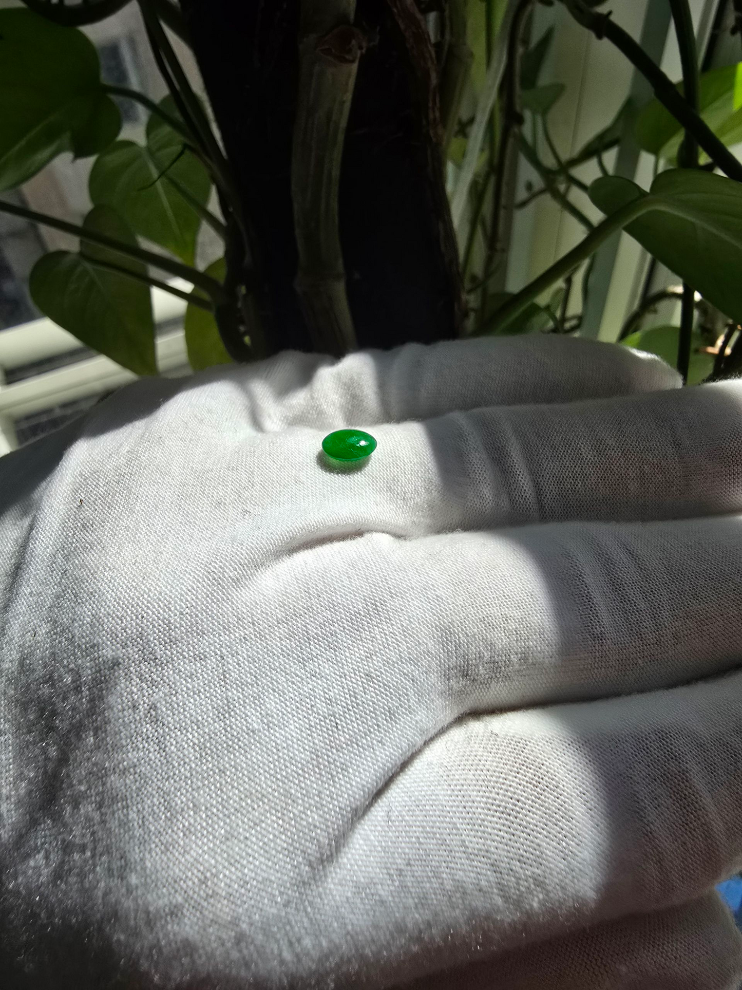 Certified MADE IN JAPAN 1.05 cts. Bright Green Burmese A-Jadeite Oval Cabochon Loose Stone LS22