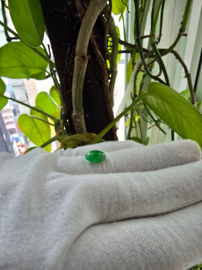 Certified MADE IN JAPAN 3.22 cts. Bright Green Burmese A-Jadeite Oval Cabochon Loose Stone LS24