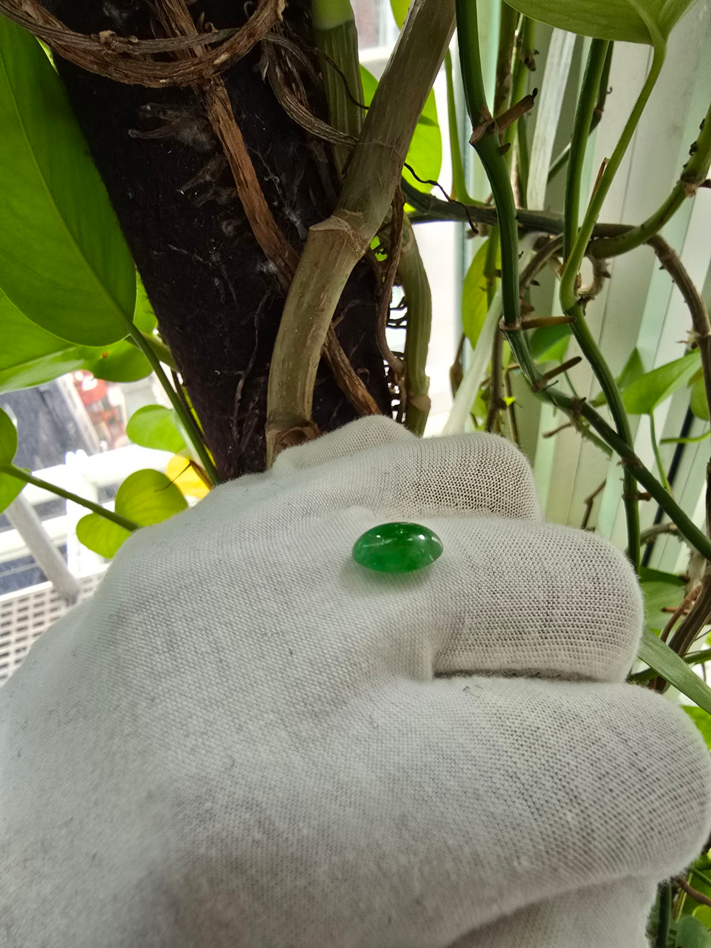 Certified MADE IN JAPAN 3.22 cts. Bright Green Burmese A-Jadeite Oval Cabochon Loose Stone LS24