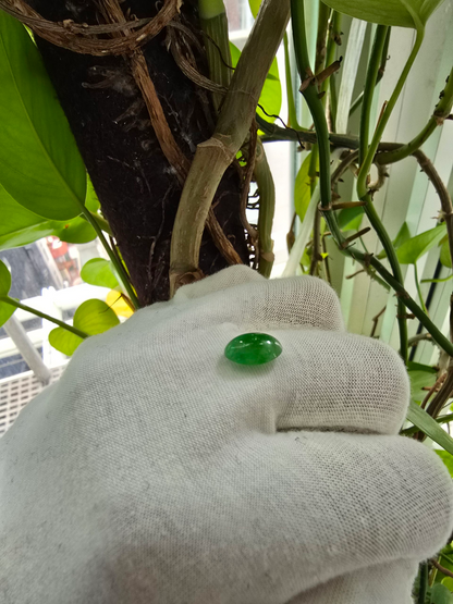 Certified MADE IN JAPAN 3.22 cts. Bright Green Burmese A-Jadeite Oval Cabochon Loose Stone LS24