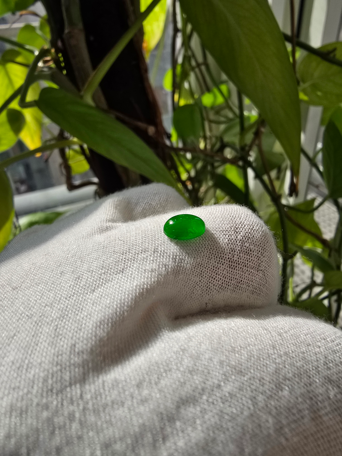 Certified MADE IN JAPAN 1.175 cts. Bright Imperial Green Burmese A-Jadeite Oval Cabochon Loose Stone LS28