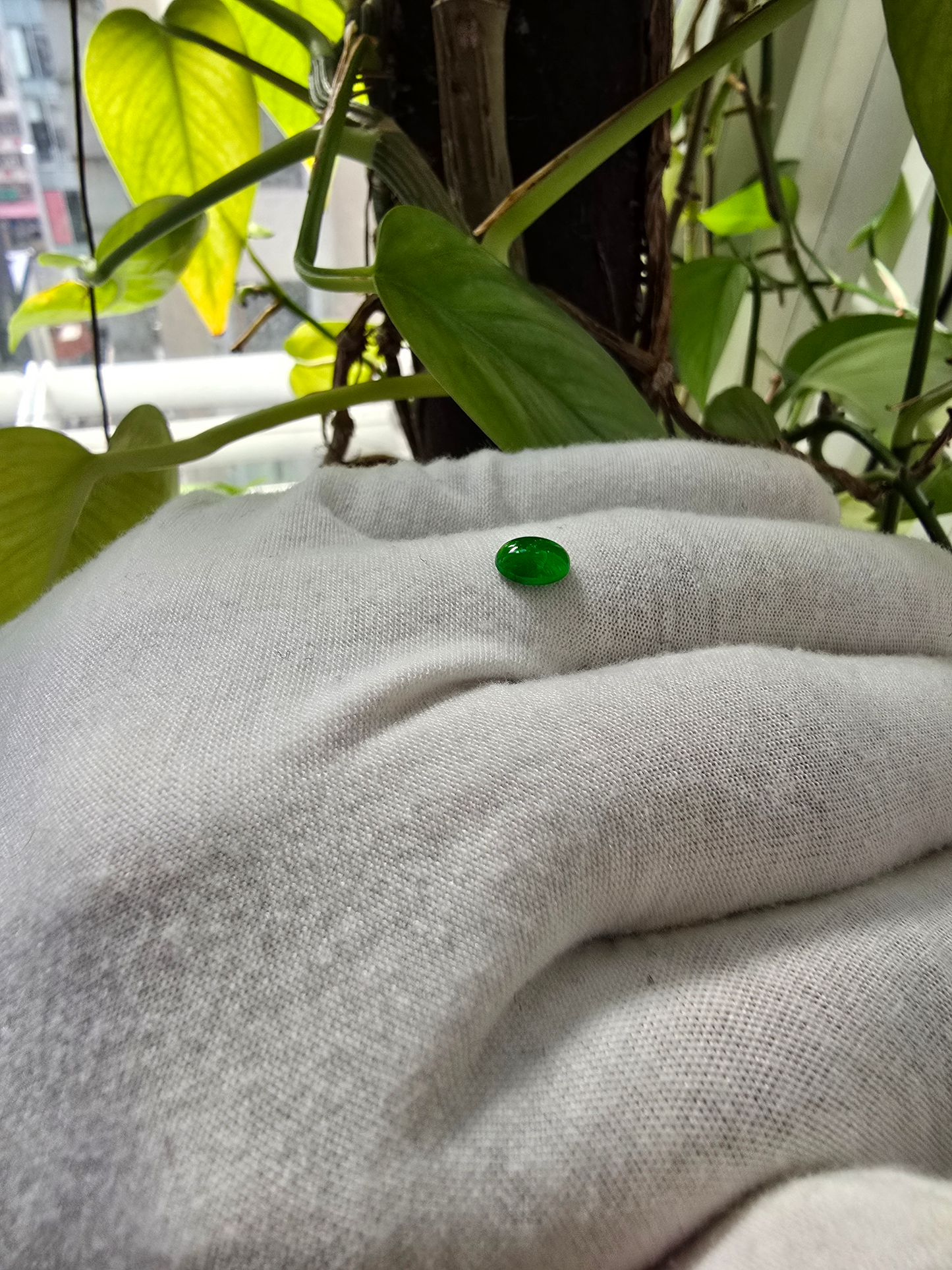 Certified MADE IN JAPAN 1.175 cts. Bright Imperial Green Burmese A-Jadeite Oval Cabochon Loose Stone LS28