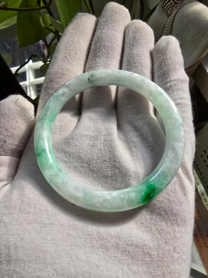 Earth's (MADE IN JAPAN) Burmese Green A-Jade Round Bangle Bracelet - Certified 08833