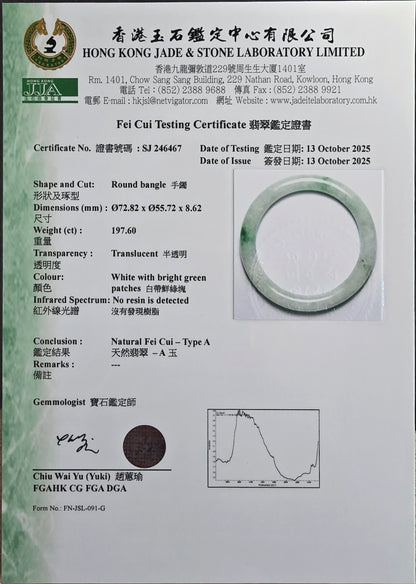 Earth's (MADE IN JAPAN) Burmese Green A-Jade Round Bangle Bracelet - Certified 08833