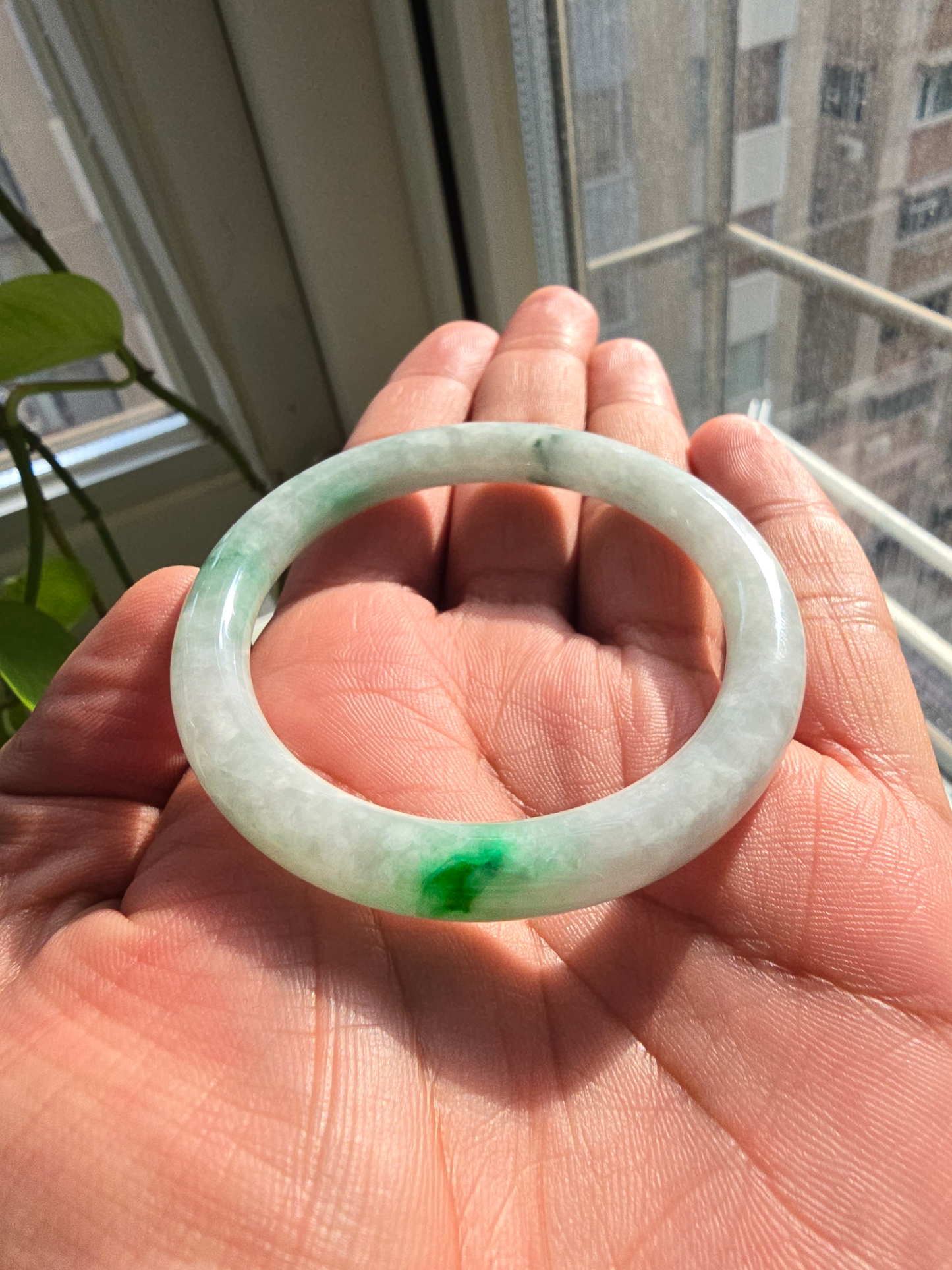 Earth's (MADE IN JAPAN) Burmese Green A-Jade Round Bangle Bracelet - Certified 08833
