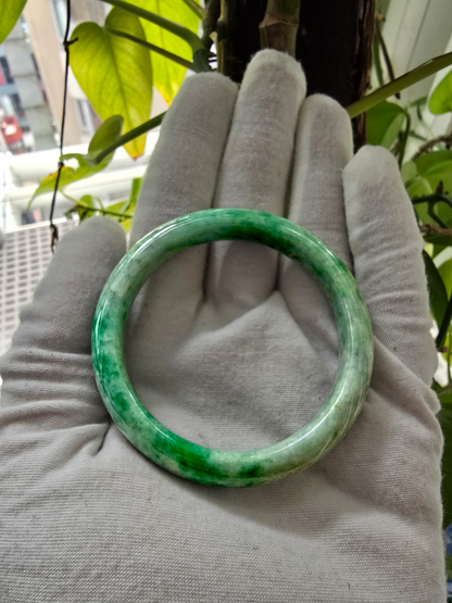 Earth's (MADE IN JAPAN) Burmese Green A-Jade Round Bangle Bracelet - Certified 08834