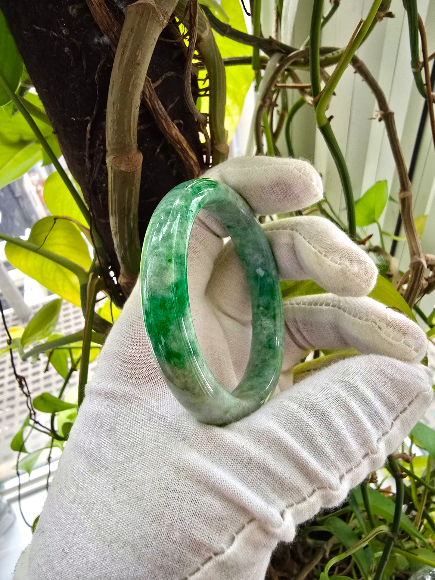 Earth's (MADE IN JAPAN) Burmese Green A-Jade Round Bangle Bracelet - Certified 08834