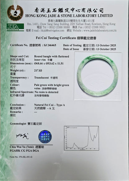 Earth's (MADE IN JAPAN) Burmese Green A-Jade Round Bangle Bracelet - Certified 08834