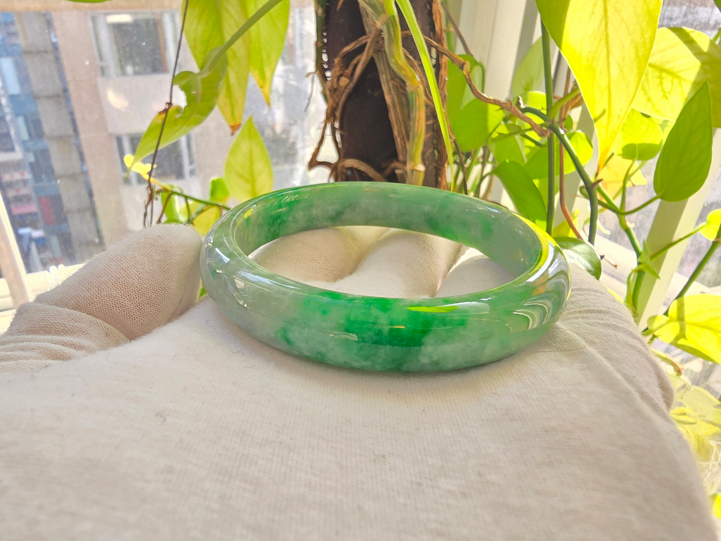 Earth's (MADE IN JAPAN) Burmese Green A-Jade Round Bangle Bracelet - Certified 08835