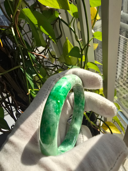 Earth's (MADE IN JAPAN) Burmese Green A-Jade Round Bangle Bracelet - Certified 08835