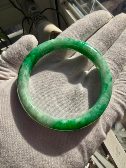 Earth's (MADE IN JAPAN) Burmese Green A-Jade Round Bangle Bracelet - Certified 08835