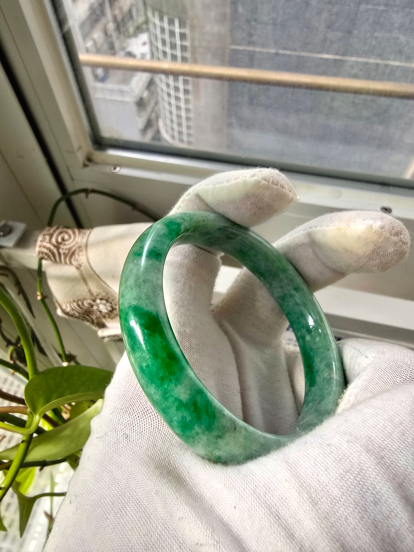 Earth's (MADE IN JAPAN) Burmese Green A-Jade Round Bangle Bracelet - Certified 08836