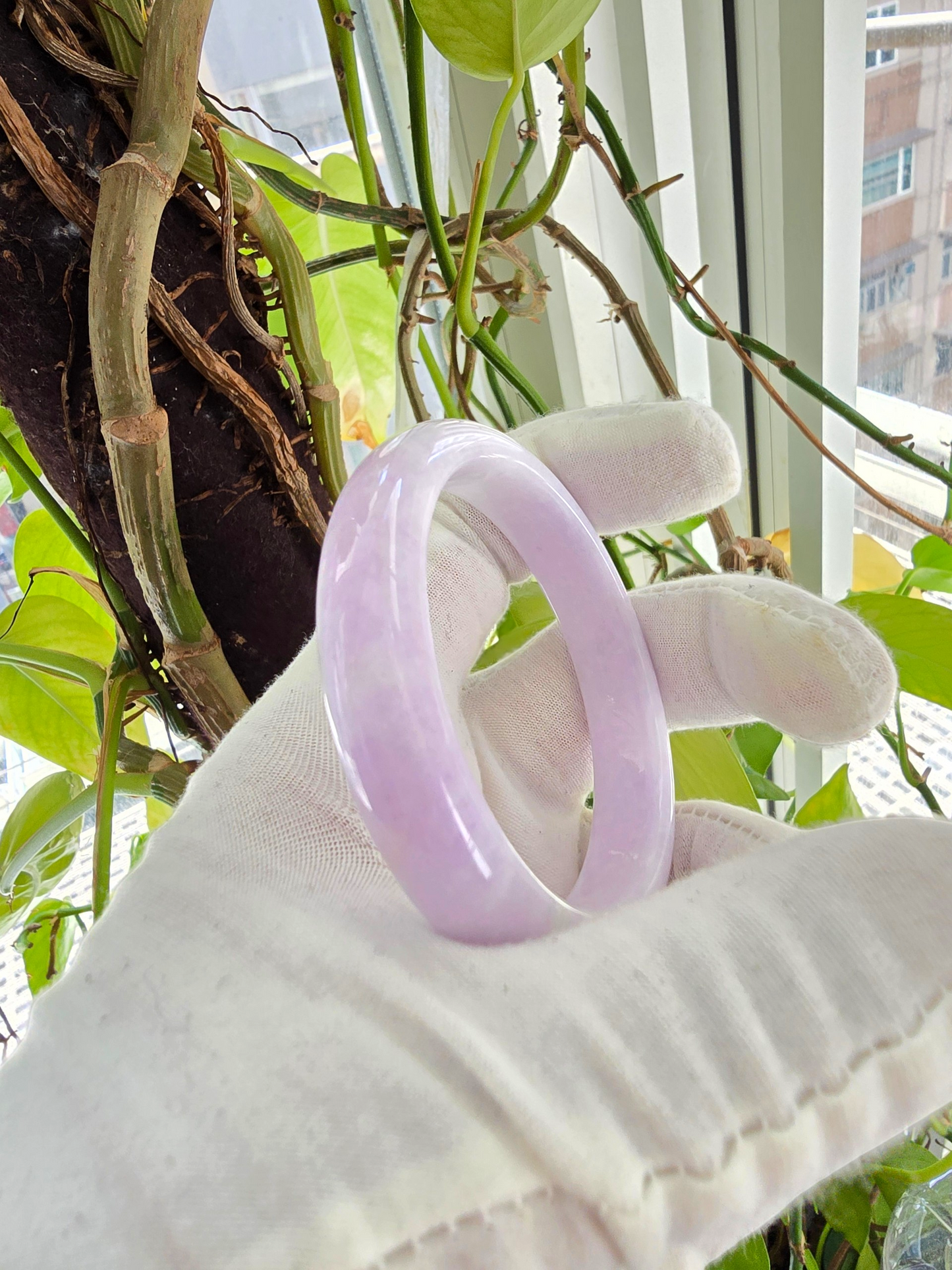 Earth's (MADE IN JAPAN) Burmese Lavender A-Jade Round Bangle Bracelet - Certified 08839