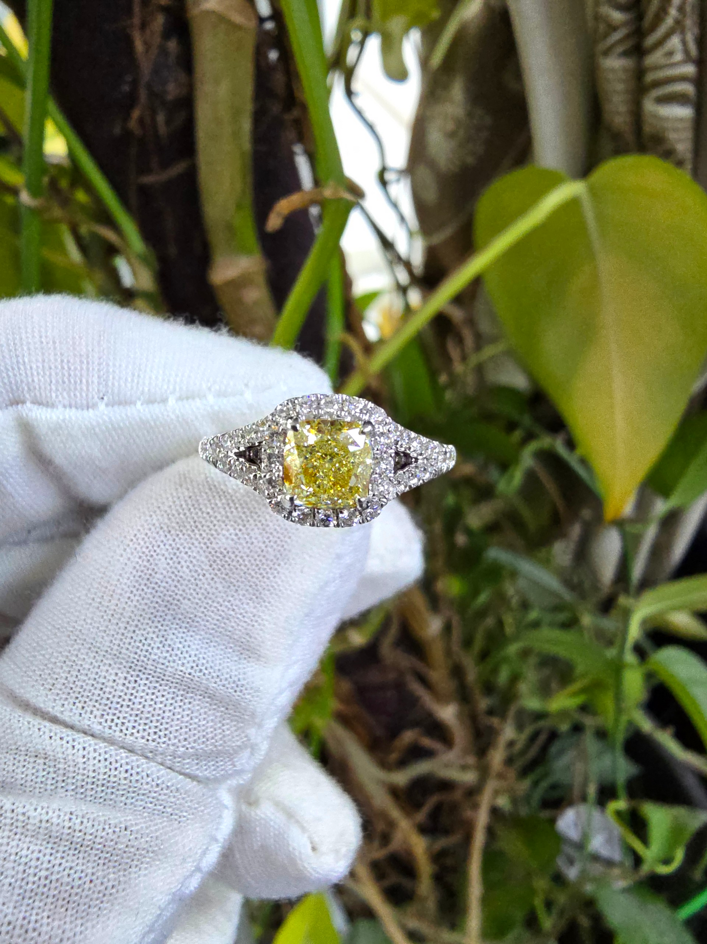 Kami 1.02 cts. Natural Cushion Fancy Light Yellow Diamond Halo Ring with Natural Round White VVS Diamonds Halo and 18K White Gold - GIA Certified - R9